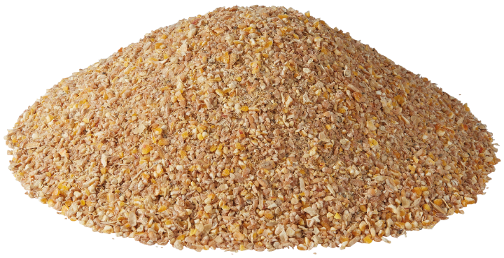 Golddott Eier Vollkorn